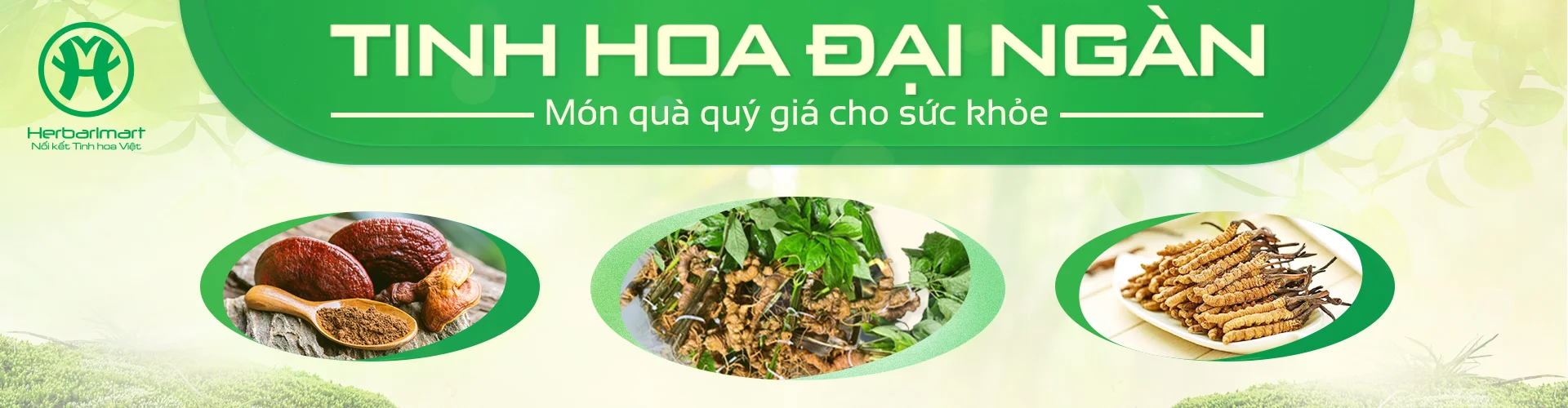 Tinh hoa đại ngàn